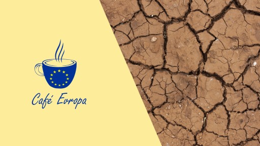 Café Evropa online: Osobní zodpovědnost v boji proti klimatické změně – čím může každý z nás přispět k naplnění Zelené dohody?